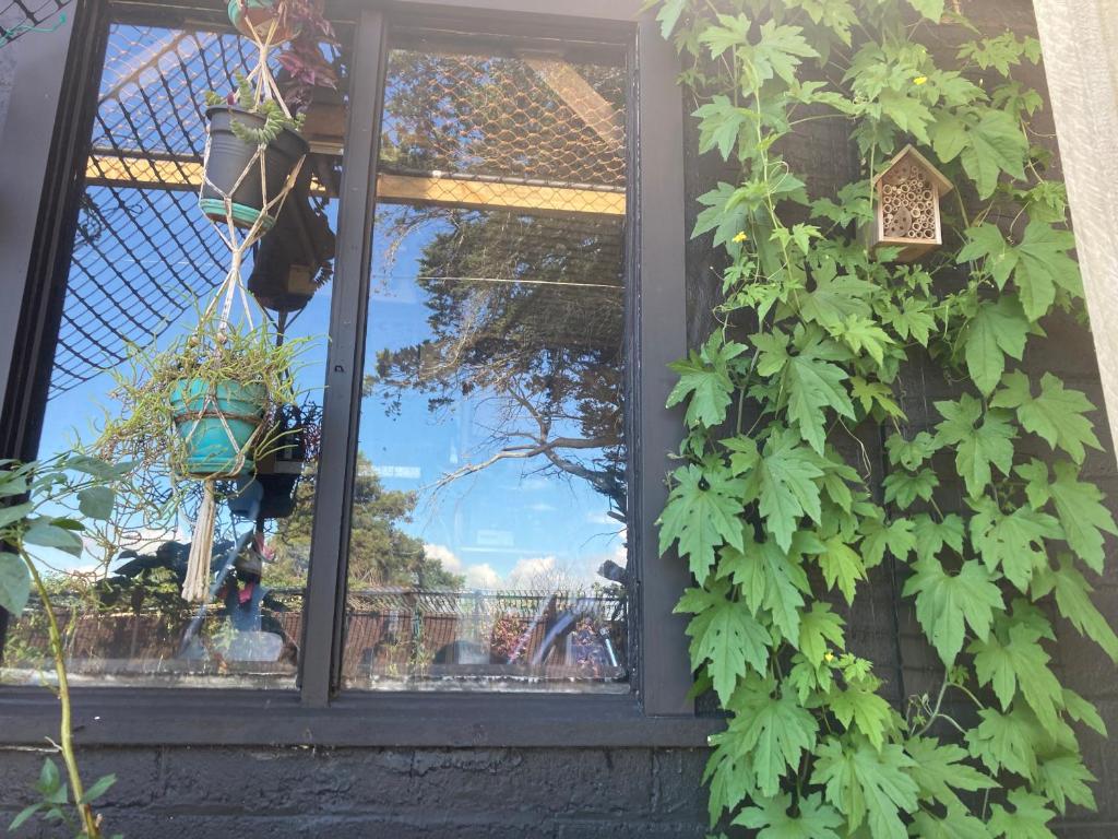 Spacious and Sunny Master Bedroom with shared bathrooms - Resim 32