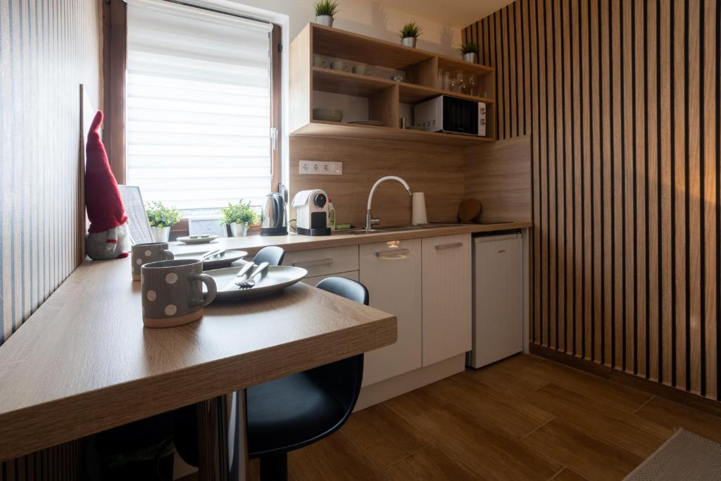 Kuchyň nebo kuchyňský kout v ubytování RP Apartmanház
