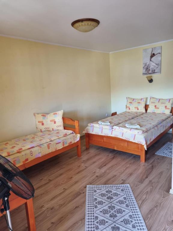 Postel nebo postele na pokoji v ubytování Casa Monika Ciocarliei