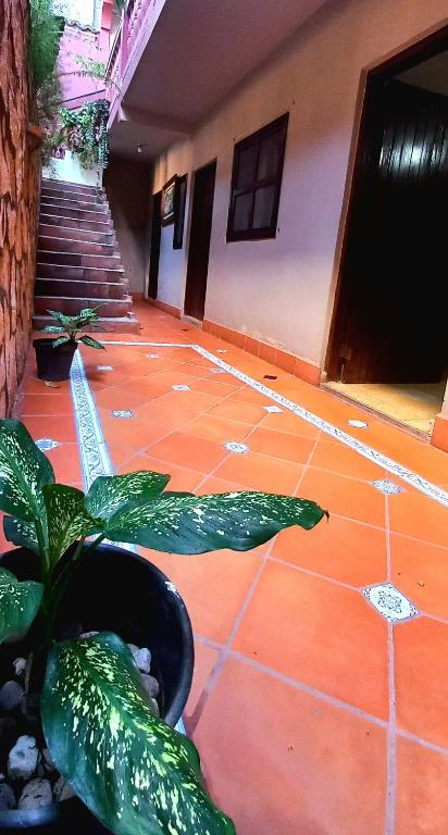Fotografie z fotogalerie ubytování Hotel Rosalila v destinaci Copan Ruinas