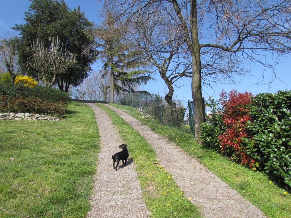 Fotografie z fotogalerie ubytování B&B Il Suono del Bosco v destinaci Arcugnano
