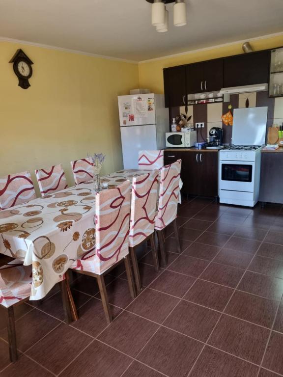 Kuchyň nebo kuchyňský kout v ubytování Casa Monika Ciocarliei