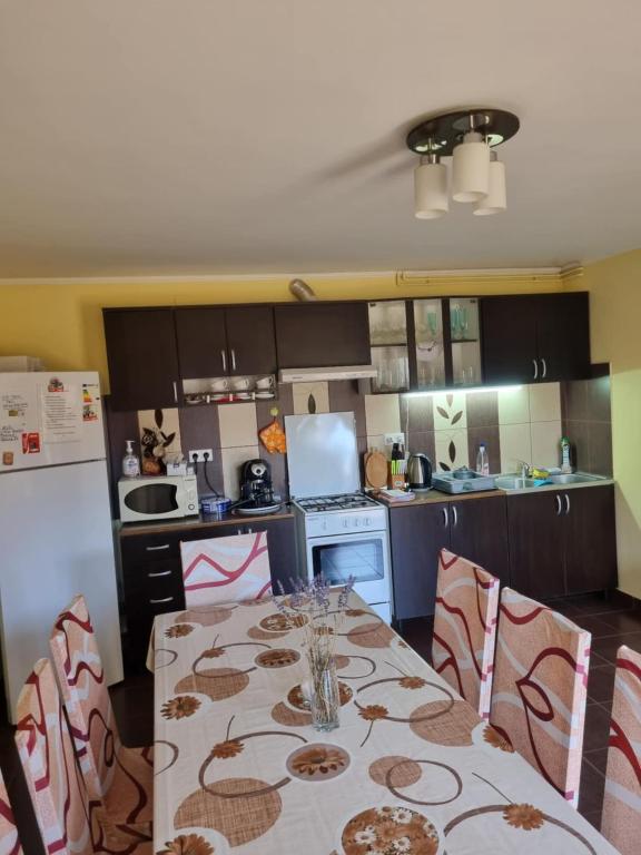 Kuchyň nebo kuchyňský kout v ubytování Casa Monika Ciocarliei