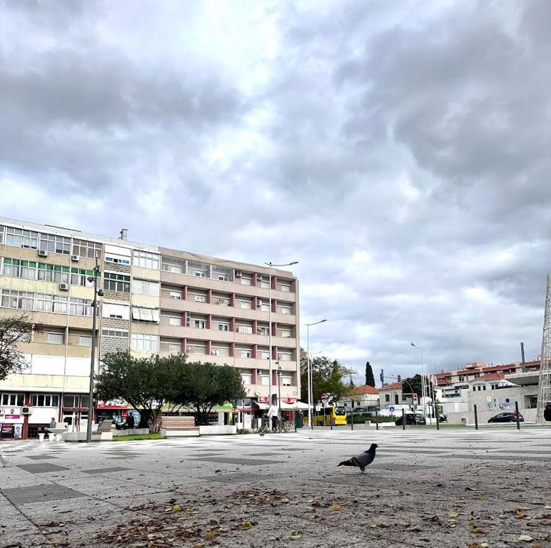 Mia Guest House - 14