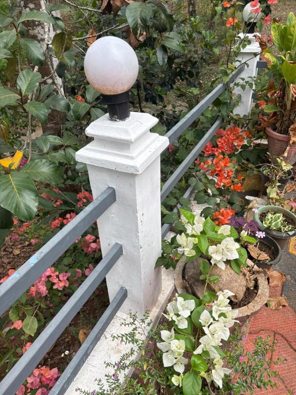 Zahrada ubytování Casa Grande Homestay Anaviratty Munnar