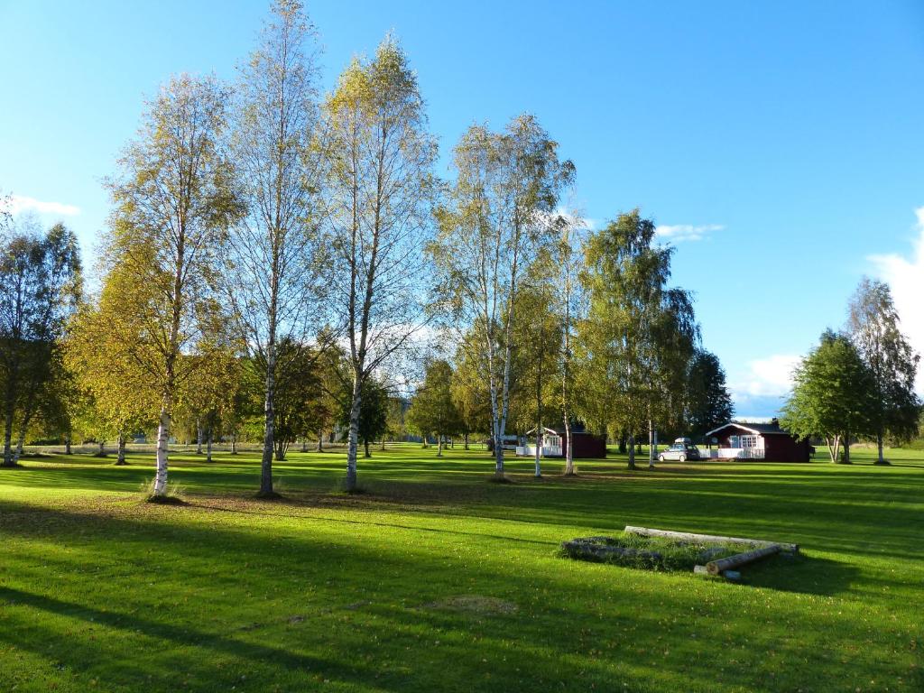 Zahrada ubytování Björkebo Camping
