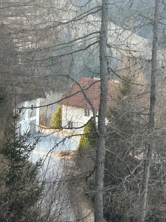 Příroda nedaleko apartmánu