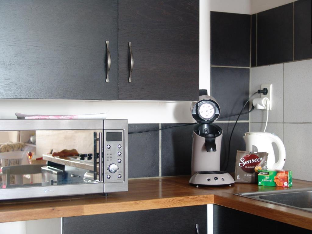 Kuchyň nebo kuchyňský kout v ubytování Apartment Natik
