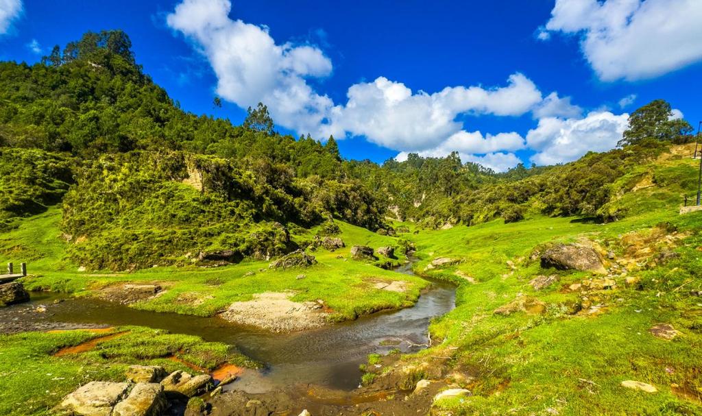 Fotografie z fotogalerie ubytování Wanchi ija eco lodge By Ethiopian Skylight v destinaci Shubē