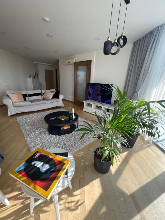 シュヴェントイにあるToVa Apartamentaiのソファとテレビのあるリビングルーム