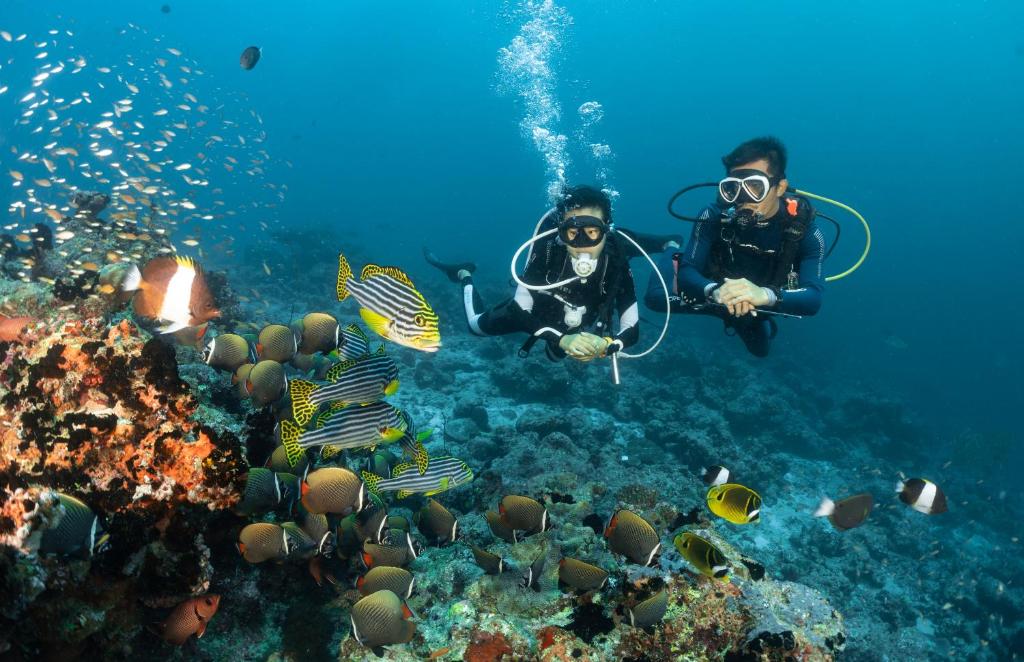 Hosté ubytování Bandos Maldives - One Way Transfer FREE for stays from 1st May till 30th Sept 2025 for Bookings from 16 Apr 2025
