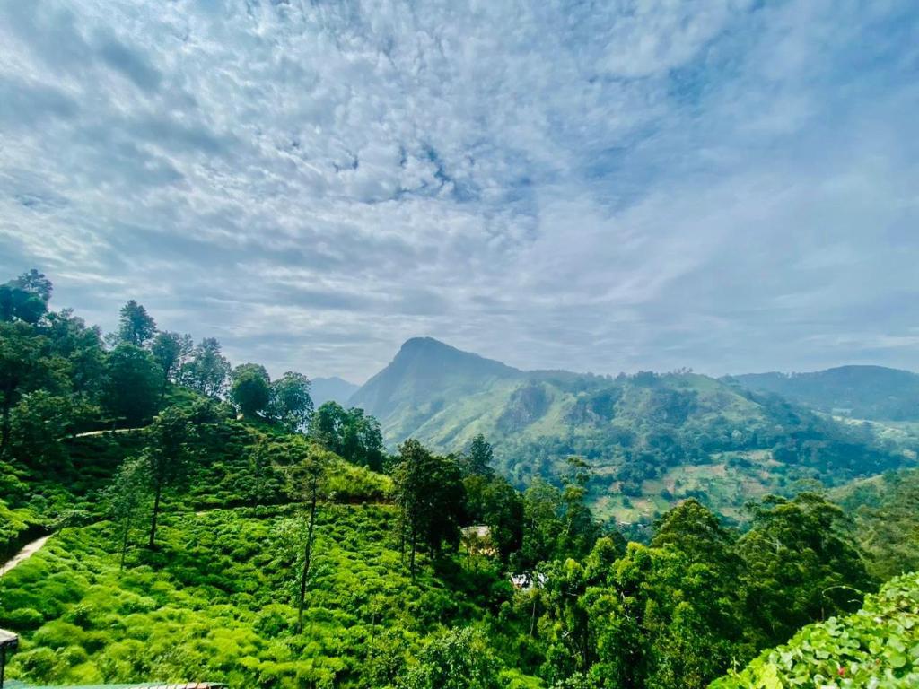 a view of a valley with mountains in the background at Ella Flower Garden Resort in Ella