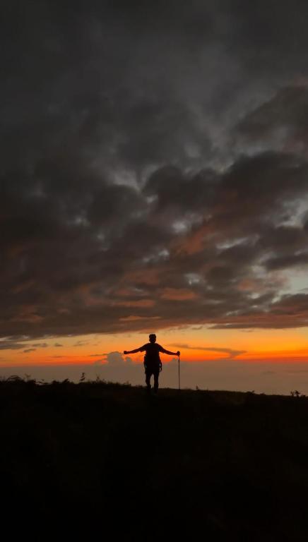 Poetri Bungalow & Restaurant - 19