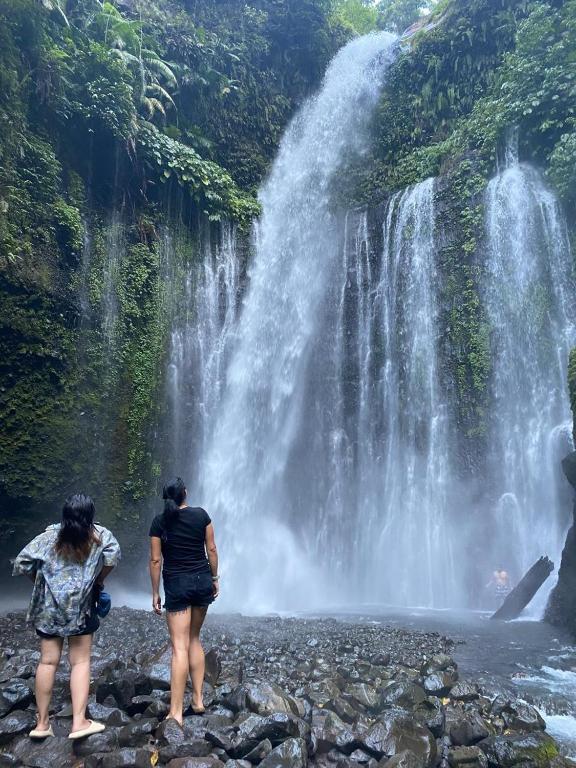 Poetri Bungalow & Restaurant - 17