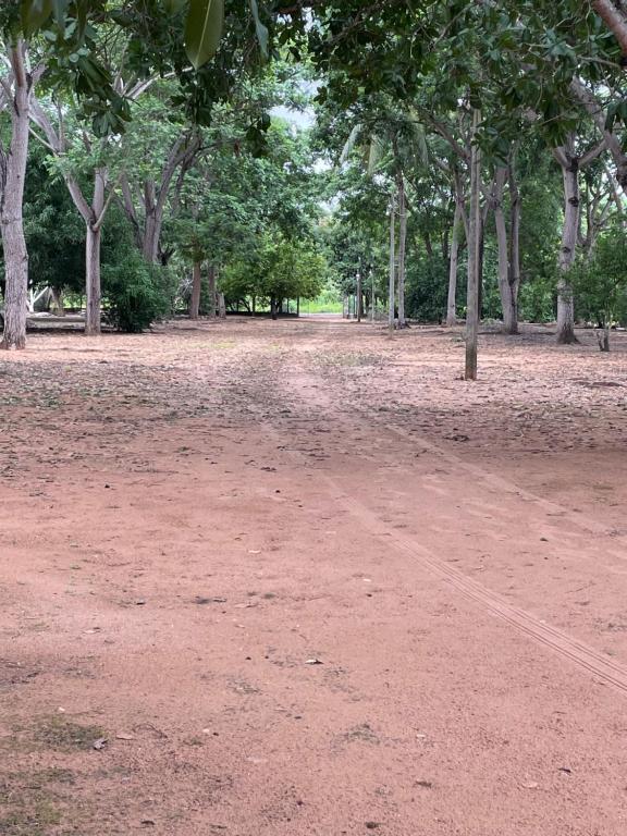 a dirt field with trees in a park at Sítio da amizade in Teresina