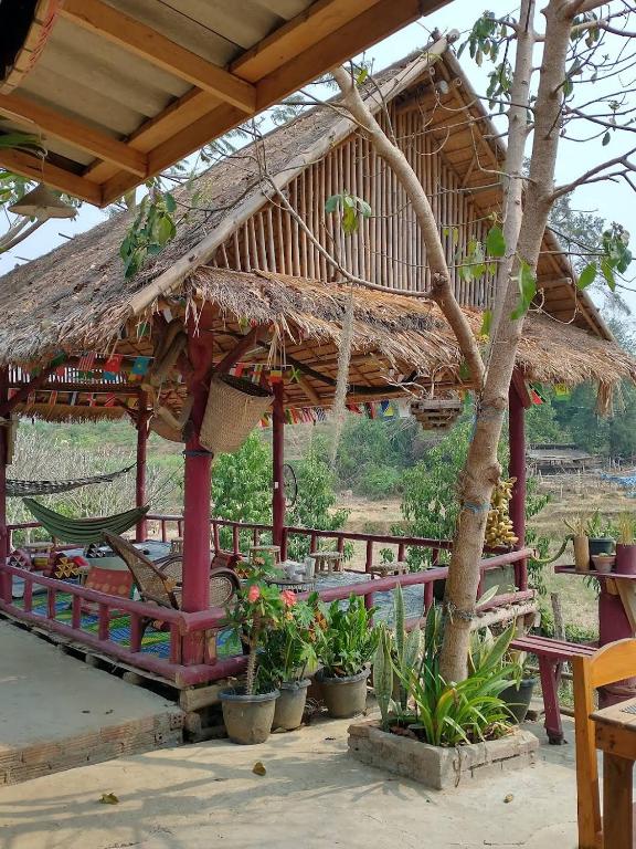 un pavillon avec un toit en paille et des plantes en pots dans l'établissement Nakhoun café and farmstay, à Ban Naphô