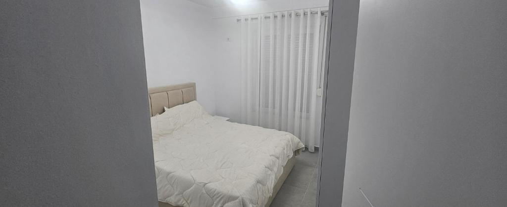 Selite Tirane