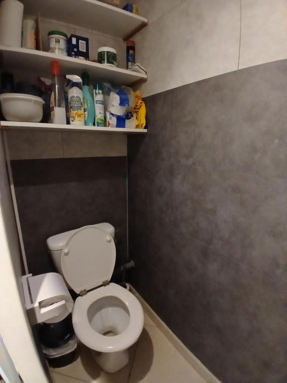 Koupelna v ubytování Maisonnette n 43" La Tortue "
