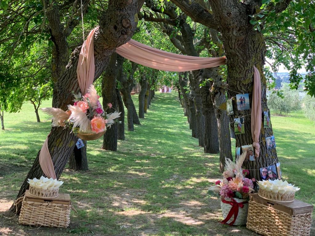 Zahrada ubytování Collina dei Poeti