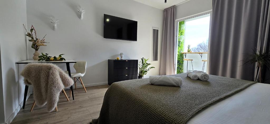 Brnistra Suites - 16