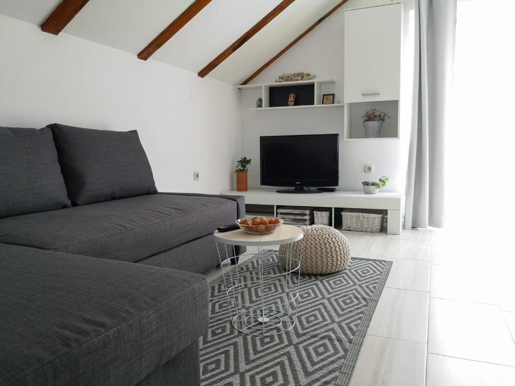 salon z kanapą i telewizorem w obiekcie Apartman Milutin w mieście Vrsi