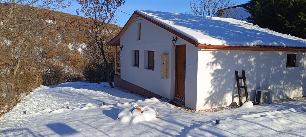 Hilltop Cottage in Szentendre, mountain view, terrace, garden v zimě