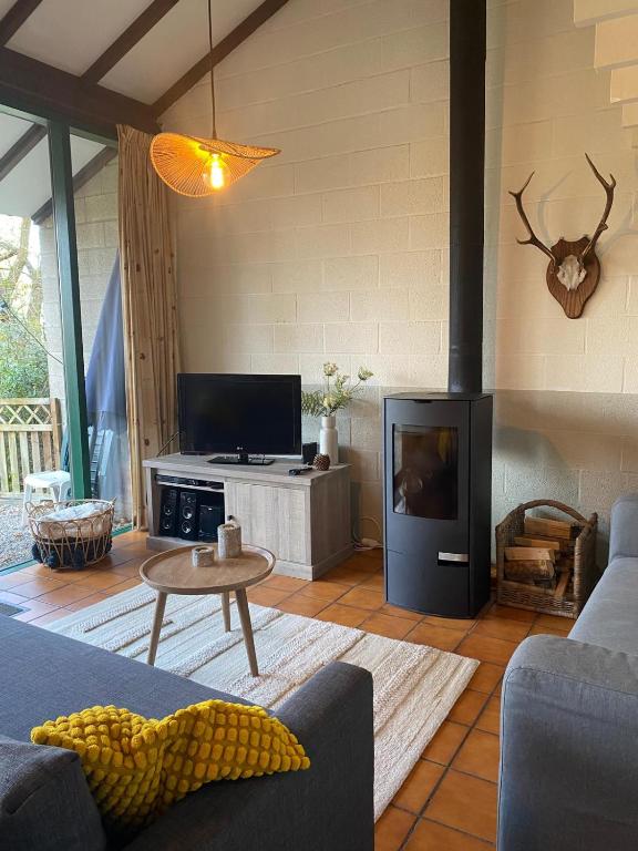 a living room with a couch and a fireplace at Mon CoCoo in Stavelot