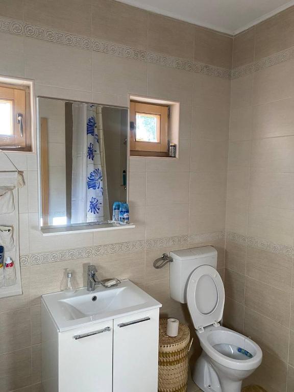 a bathroom with a white toilet and a sink at Paunova Kuca in Novi Sad