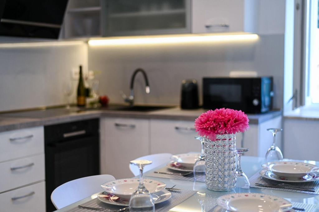Kuchyňa alebo kuchynka v ubytovaní Apartment Sani