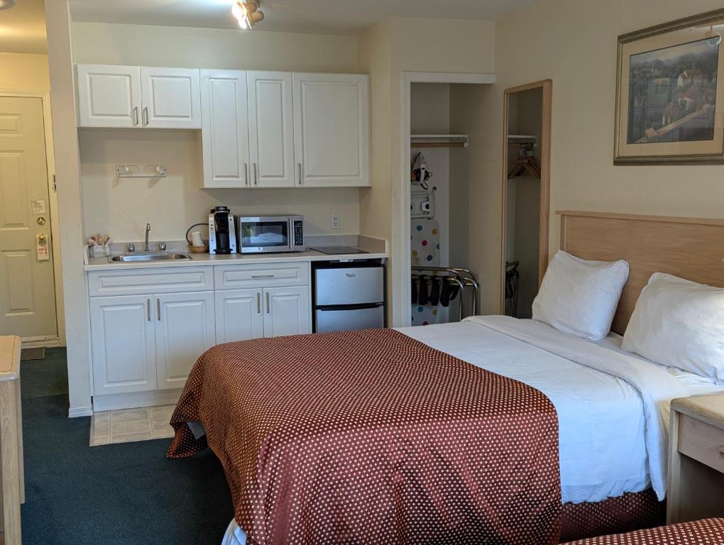 Kuchyň nebo kuchyňský kout v ubytování Summerland Motel