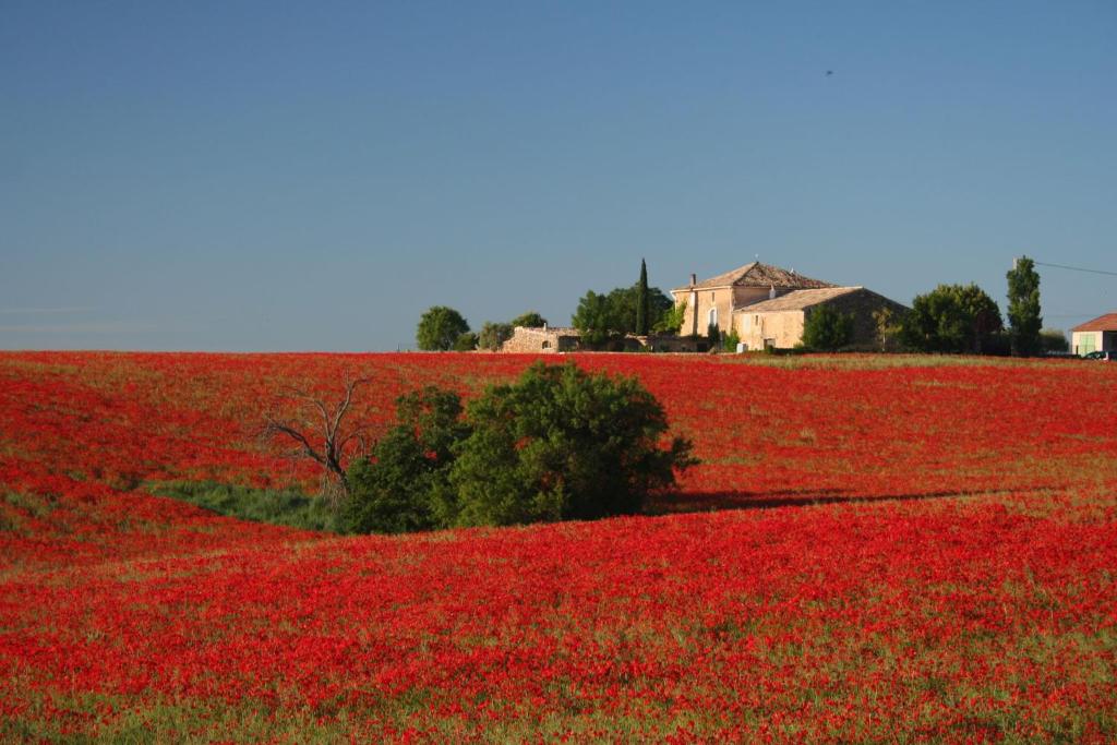 Photo de la galerie de l'établissement farmhouse in clos de la tuilerie, à Valensole