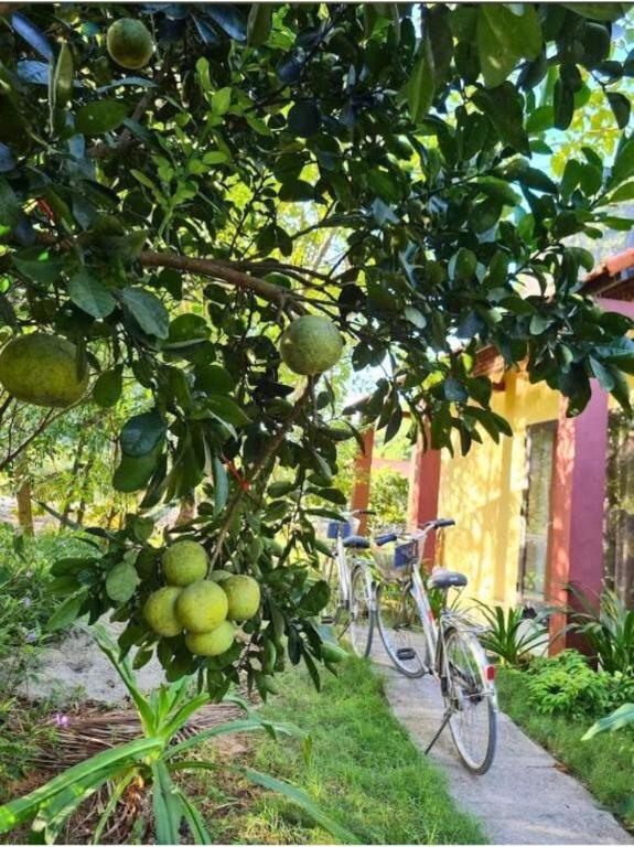 Trang An Retreat - 14