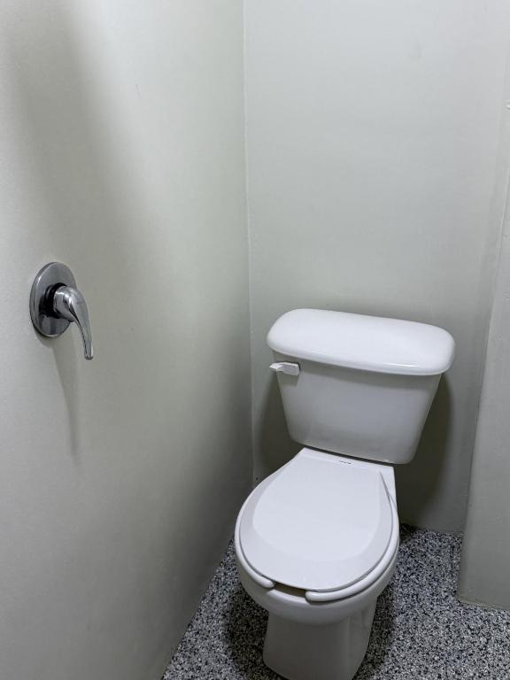 A compact toilet compartment has a wall-mounted flush handle and speckled flooring.
