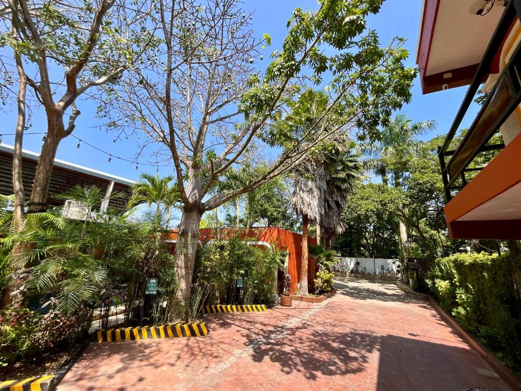 Zahrada ubytování El Zaguán Colonial by GuruHotel