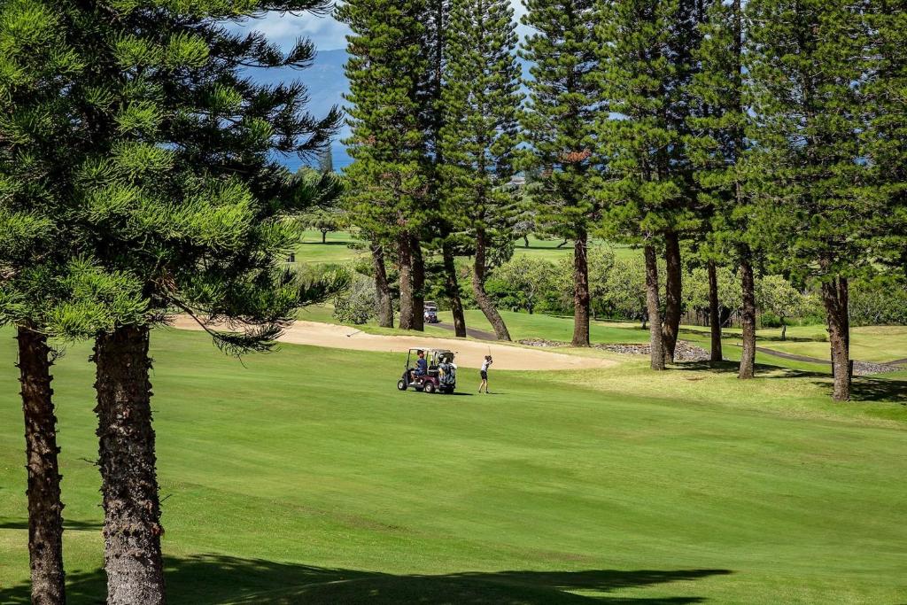 Fotografie z fotogalerie ubytování Yonegan Central Maui Getaways v destinaci Wailuku