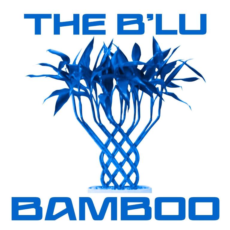 B'lu Bamboo