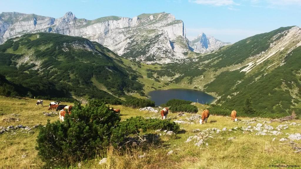 Paesaggio naturale nelle vicinanze della casa vacanze