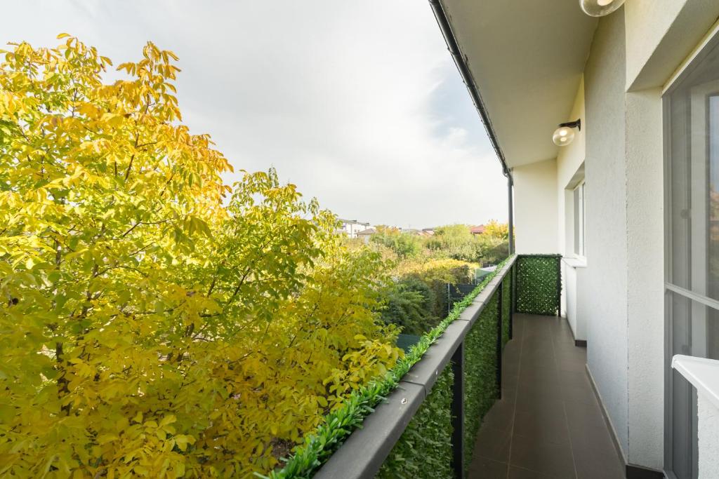 Μπαλκόνι ή βεράντα στο Casa Magurele 4