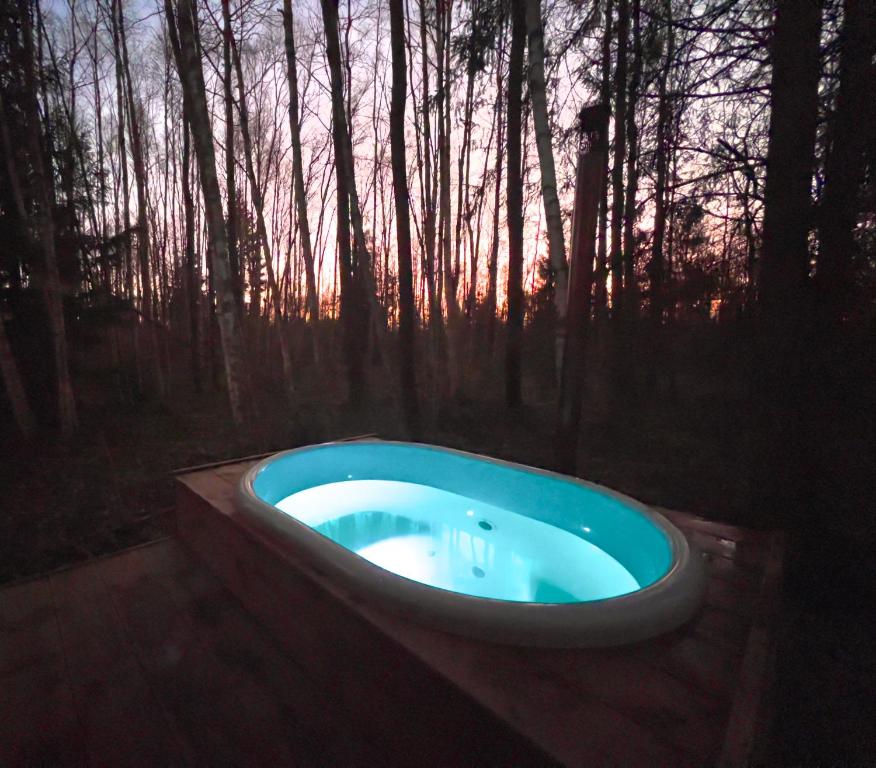 Fotografie z fotogalerie ubytování Paunküla Nature Resort (forest villa) v destinaci Ardu