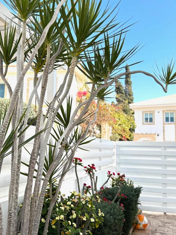 Zahrada ubytování Wealthystays Hephaestus Villa, Ayia Triada Beach