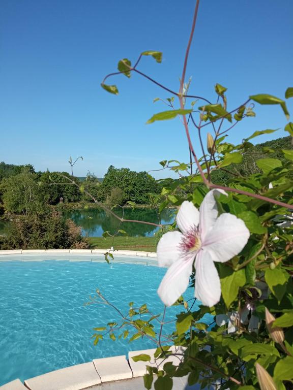 Πισίνα στο ή κοντά στο Au combe de canet