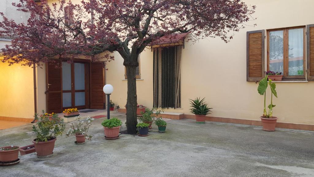 Zahrada ubytování B&B Barbara Assisi