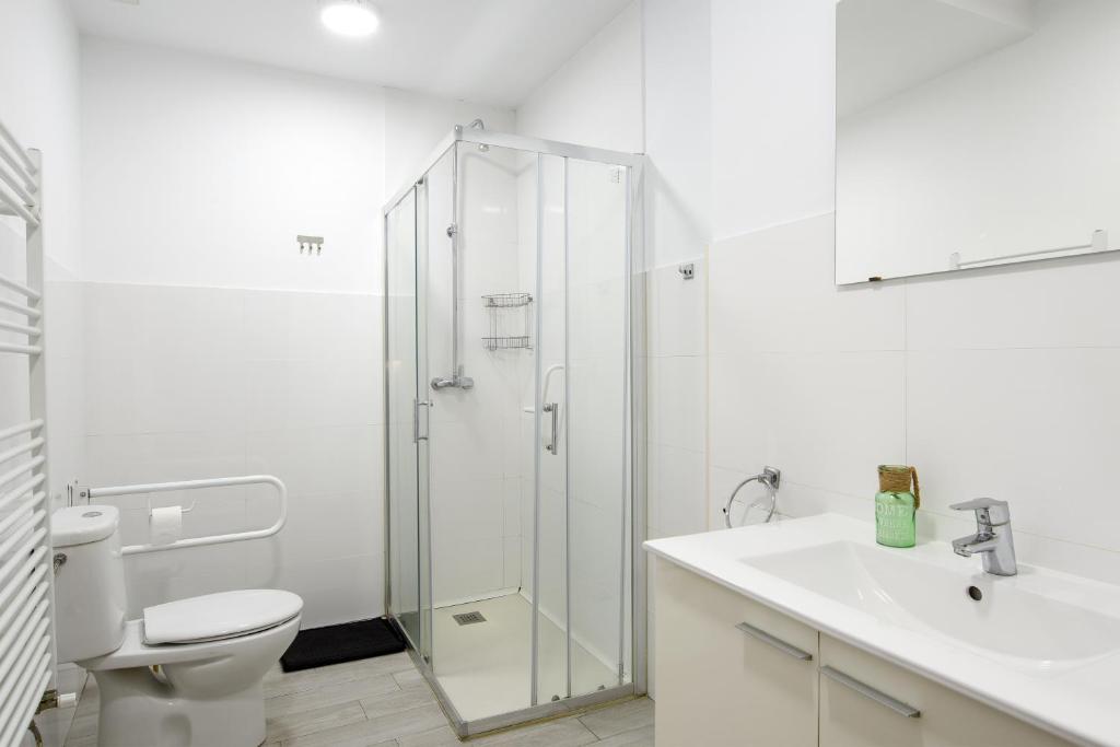 a bathroom with a shower and a toilet and a sink at Albergue Estrella Guia in Puente la Reina
