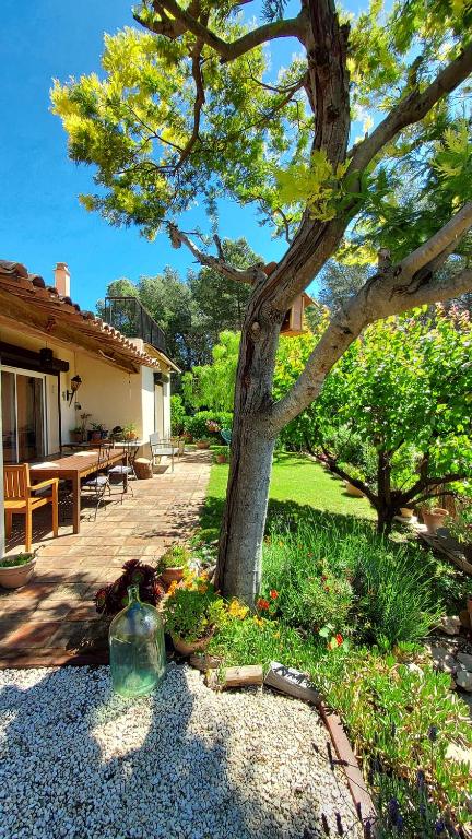 un arbre en face d'une maison avec une terrasse dans l'établissement Jolie maison hauteur d'Antibes, à Antibes