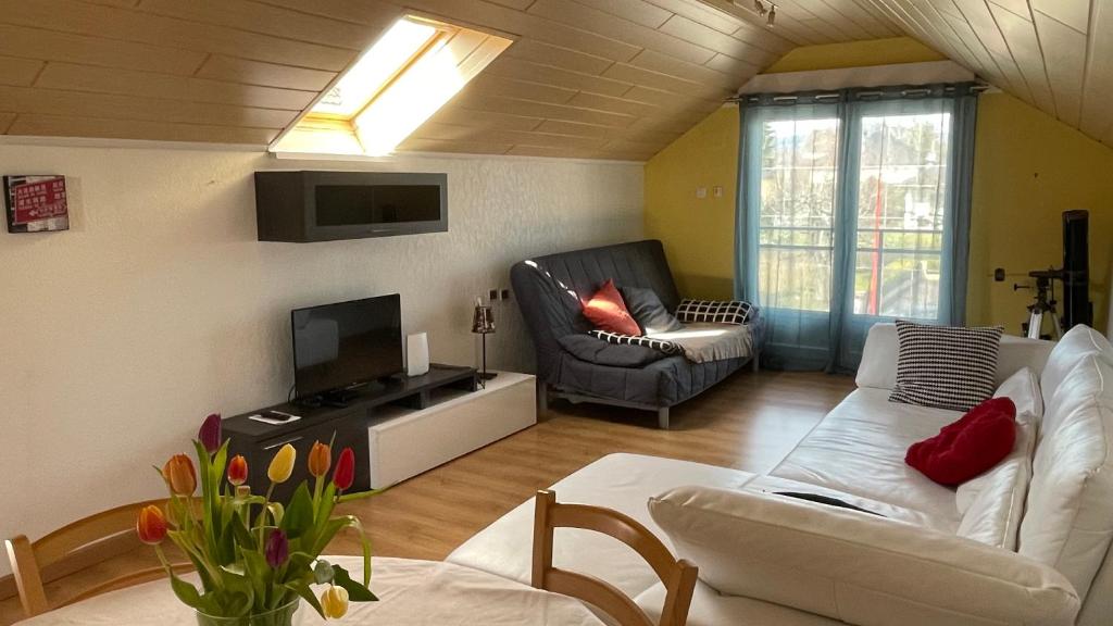 TV a/nebo společenská místnost v ubytování Appartement entier, calme, confortable et spacieux