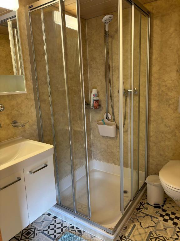 Cosy apartment in heritage protected swiss chalet - Resim 15