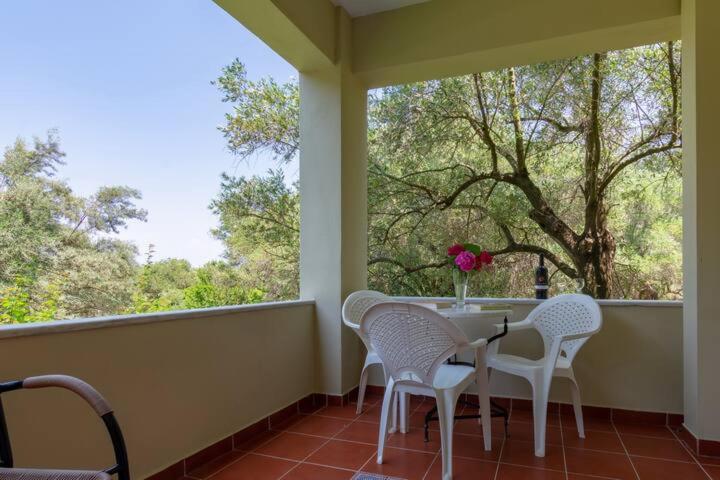 Averto - 