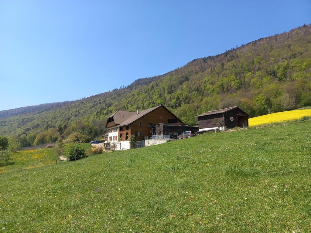 Paesaggio naturale nelle vicinanze della casa vacanze