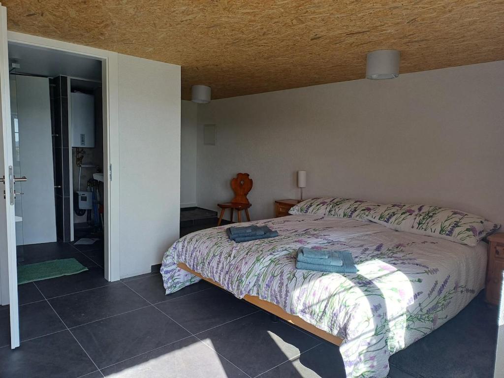 una camera da letto con un letto in una stanza di Maisonette campagnarde a Grandevent