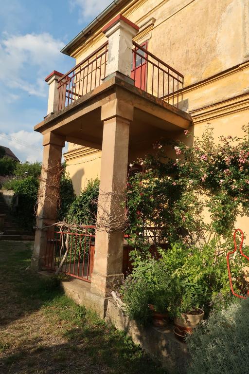 Zahrada ubytování apartmán Port Arthur